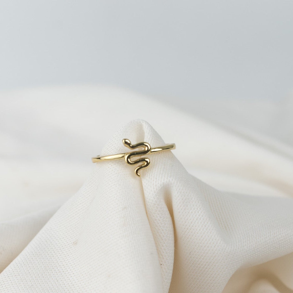 Snake in a ring