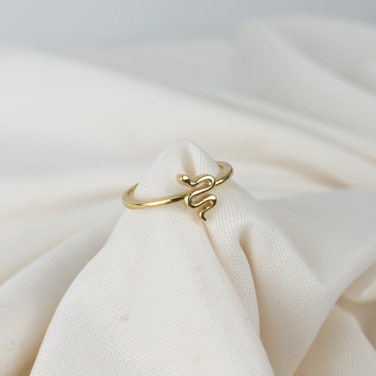 Snake in a ring