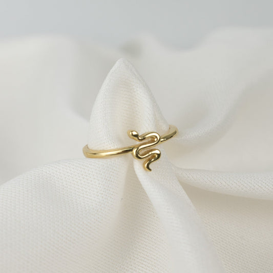 Snake in a ring