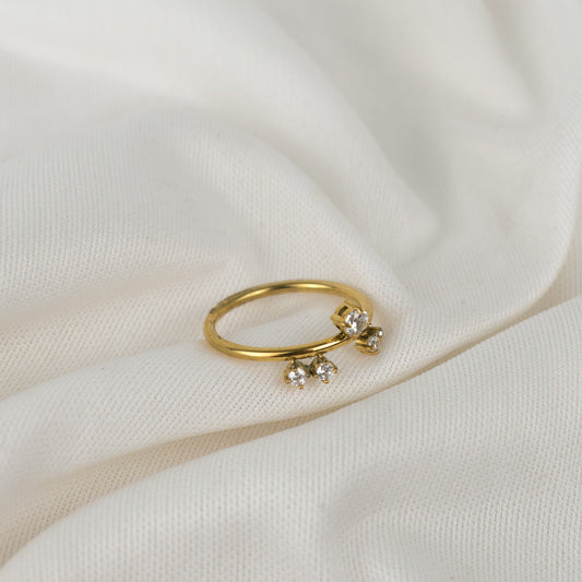 Tiny zirconia rings